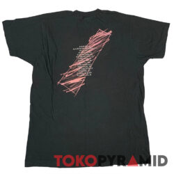 1989 Violent Femmes Tour Shirt Back