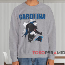1993 Carolina Panthers Breakout T shirt Grey Sweatshirt