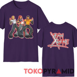 2000 Hardy Boyz Team Xtreme Shirt