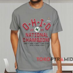 2024 National Champions Ohio State Buckeyes Hometown Tri blend Shirt Grey T shirt