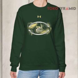 49ers Under Armour Vintage green Sweatshirt