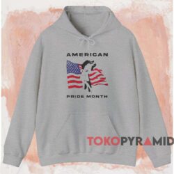 American Pride Month Shirt Grey Hoodie
