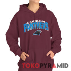 Carolina Panthers NFL Shirt 2 Carolina Panthers NFL Hoodie