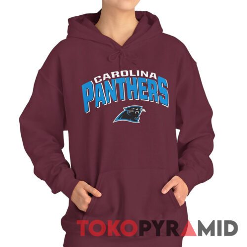 Carolina Panthers NFL Hoodie Carolina Panthers NFL Hoodie