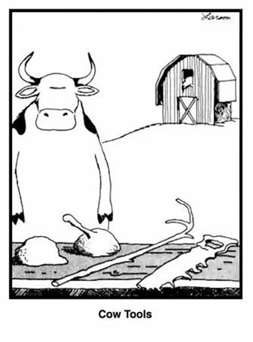 Cow Tools - Top 10 The Far Side Comics Destined for Comedy Hall of Fame - TokoPyramid