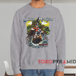 Disneyland Splash Mountain T-shirt 3 Disneyland Splash Mountain T shirt Grey Sweatshirt