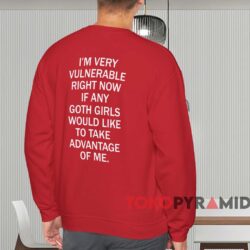 I'm Very Vulnerable Right Now Shirt 4 I'm Very Vulnerable Right Now Shirt Red Sweatshirt