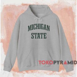 Michigan State University Vintage Logo Shirt Grey Hoodie