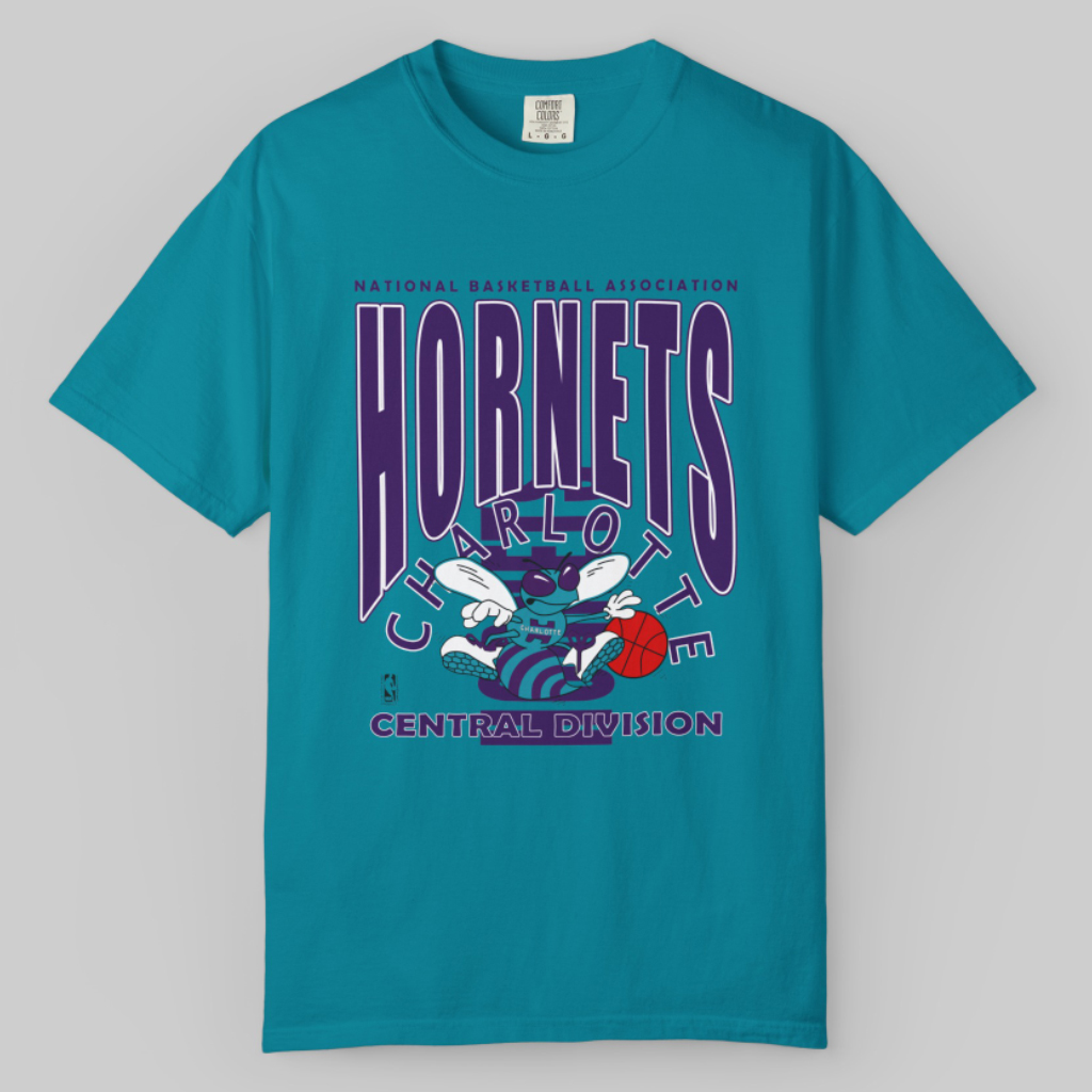 Nba Charlotte Hornets Central Division T shirt Nba Charlotte Hornets Central Division T shirt