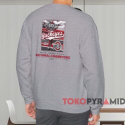Ohio State Buckeyes Stadium 2024 National Champions Shirt 3 Ohio State Buckeyes Stadium 2024 National Champions Shirt Grey Sweatshirt