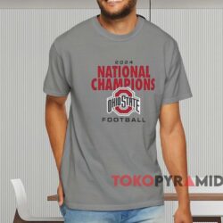 Ohio State Buckeyes Stadium 2024 National Champions Shirt Grey T shirt