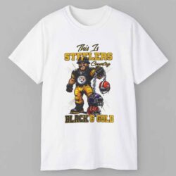 Pittsburgh Steelers Nfl Afc North Champions 2025 Mascot Black And Gold T shirt