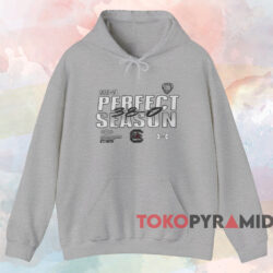 South Carolina Gamecocks 2024 NCAA Women's Basketball Perfect Season Shirt 2 South Carolina Gamecocks 2024 Ncaa Women's Basketball National Champions Perfect Season Shirt Grey Hoodie