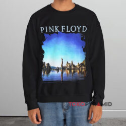 Vintage 1992 Pink Floyd Wish You Were Here Shirt 3 Vintage 1992 Pink Floyd Wish You Were Here Black Sweatshirt