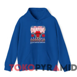 Vintage 1993 Chicago Bulls NBA World Champions T-shirt 3 Vintage 1993 Chicago Bulls Nba World Champions T shirt Blue Hoodie