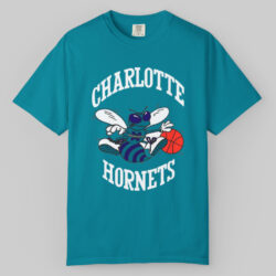 Vintage 90s Charlotte Hornets Nba Starter T shirt