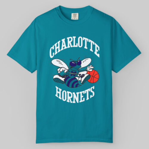 Vintage 90s Charlotte Hornets Nba Starter T shirt