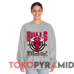 Vintage 90s Chicago Bulls EYE NBA Champions T-shirt 2 Vintage 90s Chicago Bulls Eye Nba Champions T shirt Grey Sweatshirt
