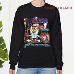 Vintage Charlotte Hornets Taz NBA Powerhouse Shirt 3 Vintage Charlotte Hornets Nba Taz Powerhouse Sweatshirt