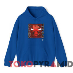 Vintage Chicago Bulls National Basketball Association T-shirt 3 Vintage Chicago Bulls National Basketball Association T shirt Blue Hoodie