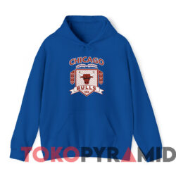 Vintage Chicago Bulls Nba Basketball T shirt Blue Hoodie
