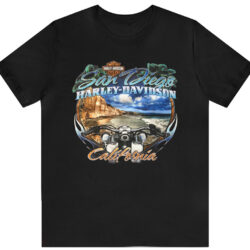 Vintage Harley Davidson San Diego California T shirt