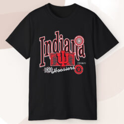 Vintage University Indiana Hoosiers 1820 T shirt
