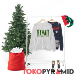 Vintage University of Hawaii Rainbow Shirt 4 Vintage University Of Hawaii Rainbow Sweatshirt Grey Heather Hanging