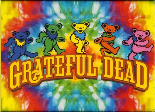 What is Grateful Dead The Meaning Behind the Name TokoPyramid