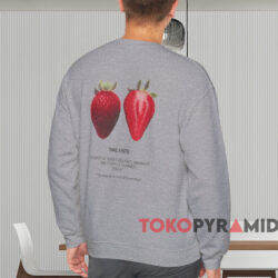 Zara Strawberry Fruit Print Shirt Grey Sweatshirt